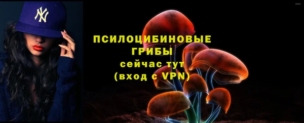 мескалин Балахна